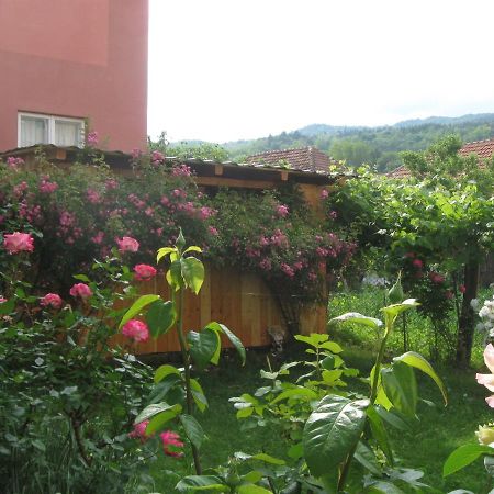 Casa Fabrizio 호텔 Călimăneşti 외부 사진