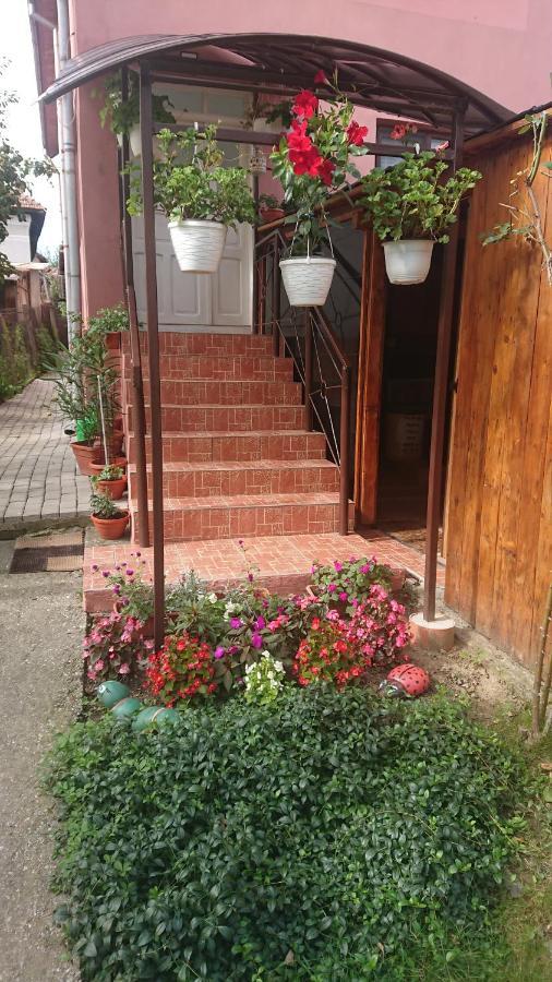 Casa Fabrizio 호텔 Călimăneşti 외부 사진