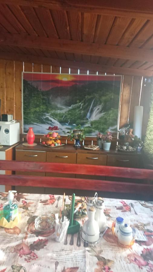 Casa Fabrizio 호텔 Călimăneşti 외부 사진