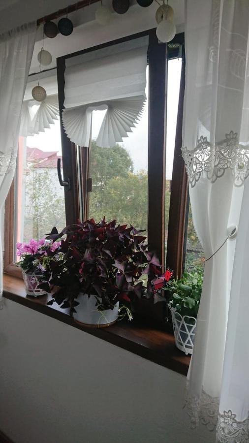 Casa Fabrizio 호텔 Călimăneşti 외부 사진