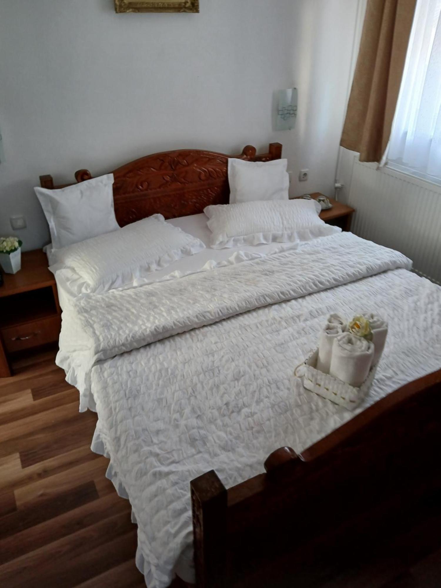 Casa Fabrizio 호텔 Călimăneşti 외부 사진
