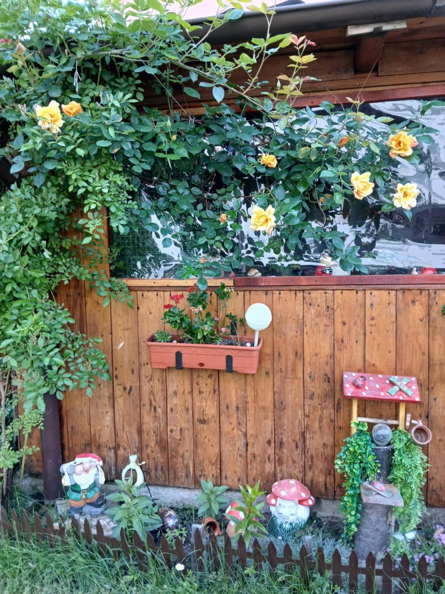 Casa Fabrizio 호텔 Călimăneşti 외부 사진
