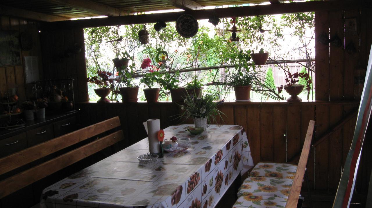 Casa Fabrizio 호텔 Călimăneşti 외부 사진